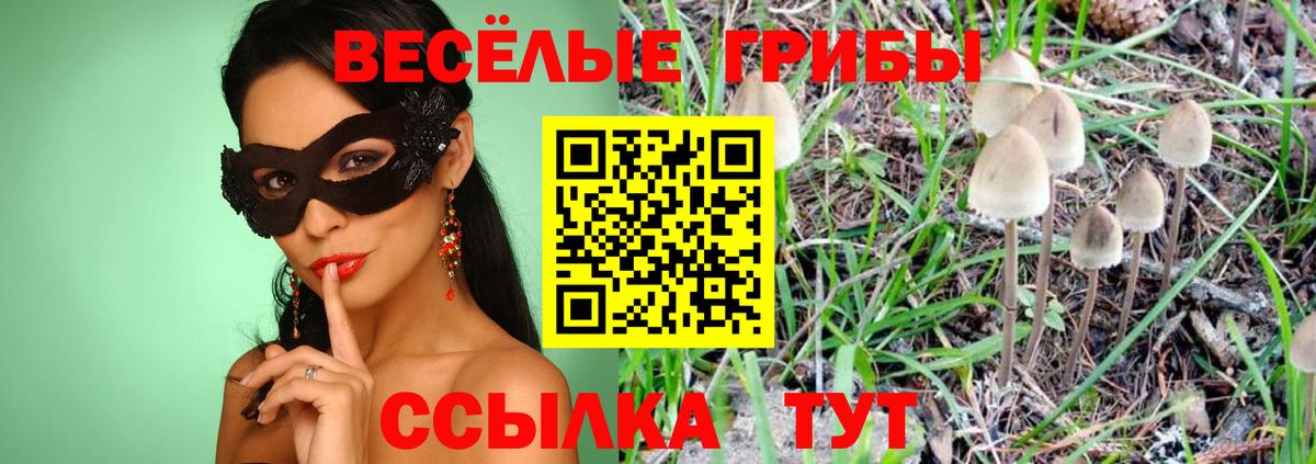 Сосновоборск  Псилоцибиновые грибы мицелий  Псилоцибиновые грибы MAGIC MUSHROOMS  Вход с VPN 