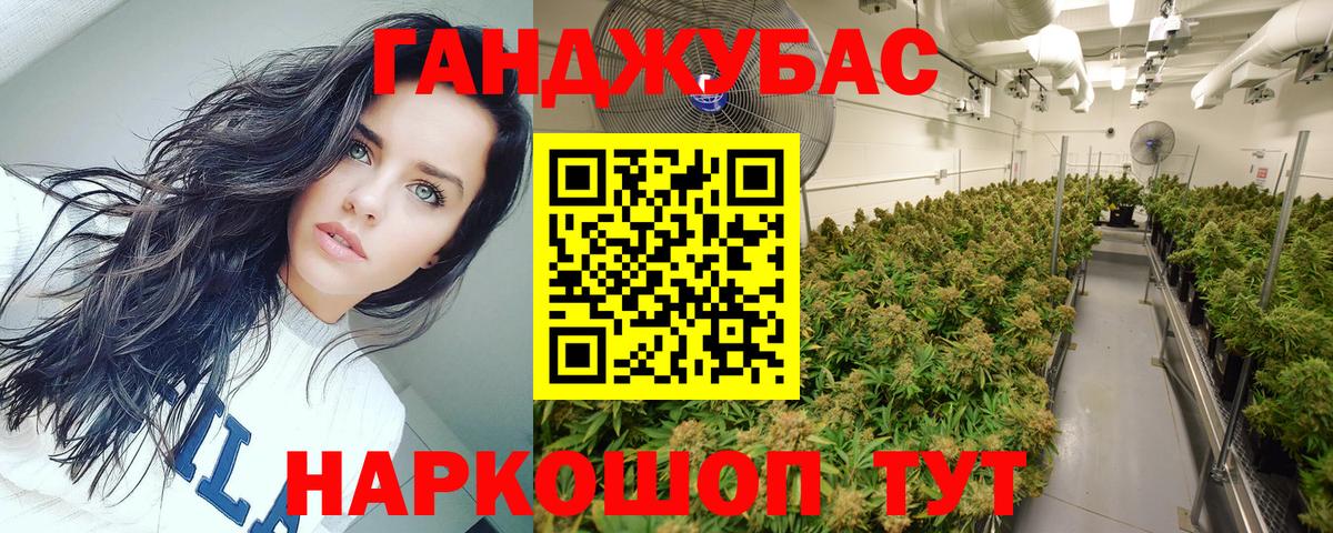 Конопля план  Бошки Шишки план  Сосновоборск  Шишки марихуана марихуана  Вход с VPN  Марихуана Amnesia 